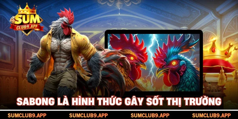 Sabong là hình thức gây sốt thị trường